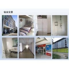 北京電子廠  招聘  女158以上，男165以上，年齡16-40歲