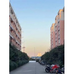 南京中電熊貓晶體  招聘：男18-35周歲，女18-40周歲。